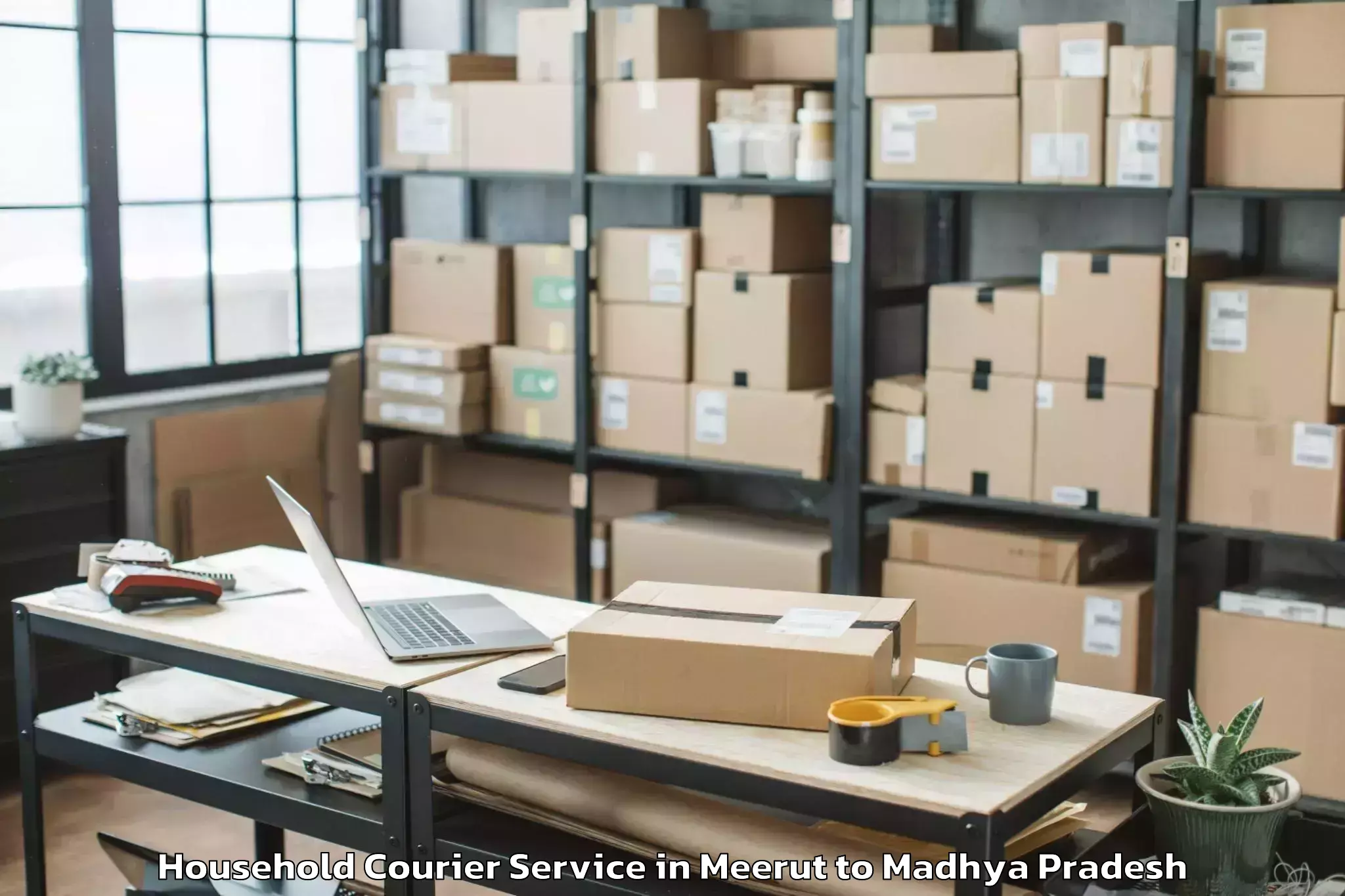 Reliable Meerut to Shahdol Household Courier